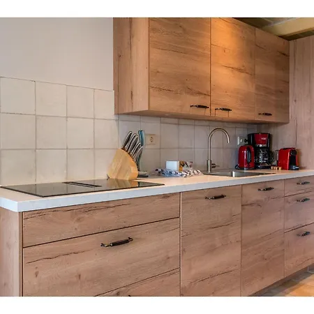 Lovely In Texel Near Sea Oost (Texel)