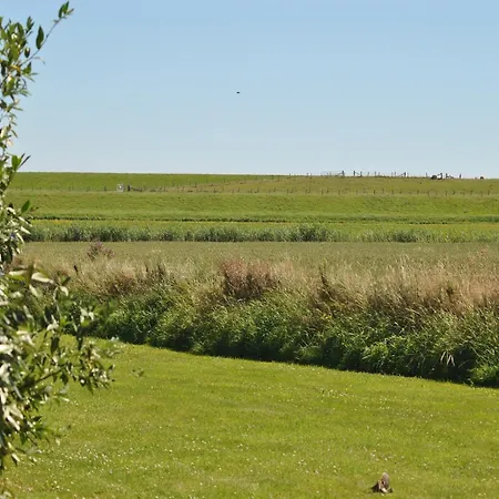 Lovely In Texel Near Sea *