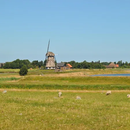 Lovely In Texel Near Sea Oost (Texel)