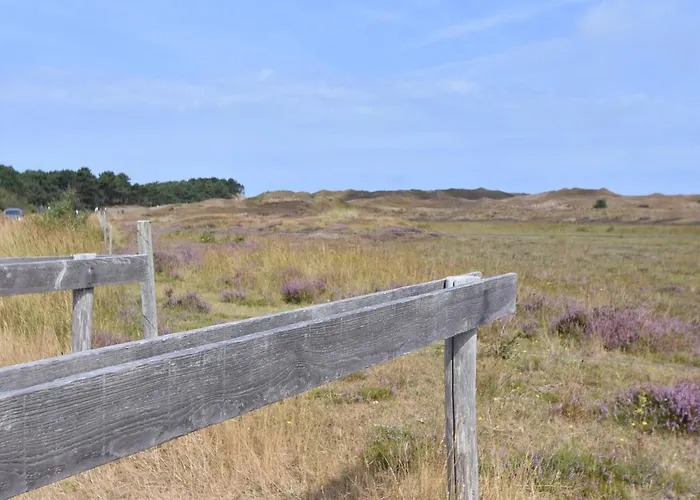 Lovely In Texel Near Sea Hébergement de vacances