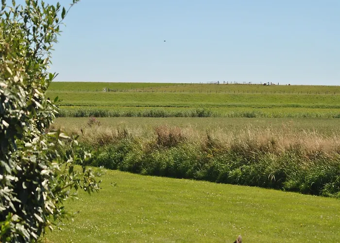 Lovely In Texel Near Sea Дом отдыха Oost (Texel)